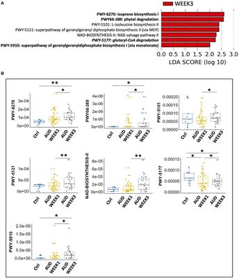 Functional Microbial Responses to Alcohol Abstinence in Patients With Alcohol Use Disorder